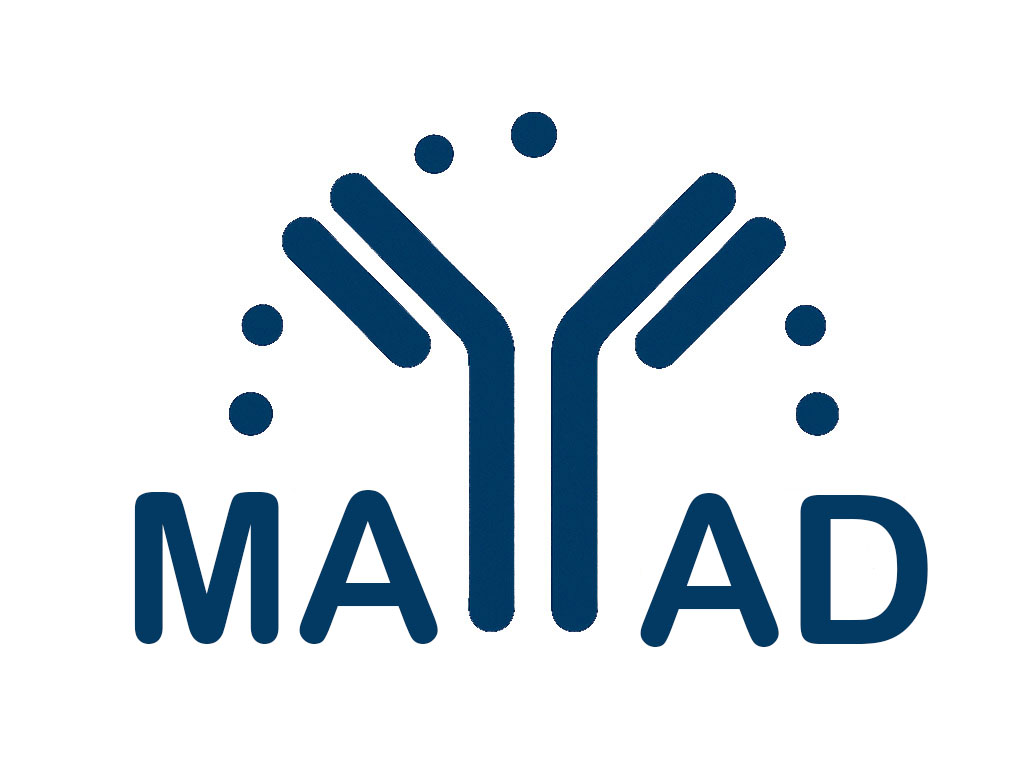 AntibodyDB Logo